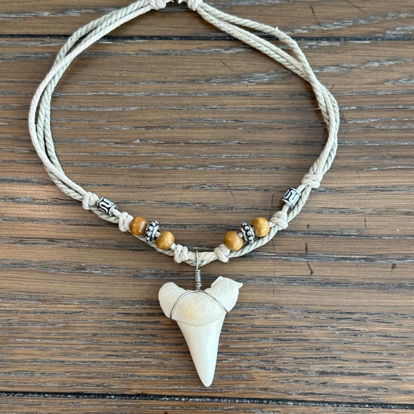 Shark tooth choker necklace - Picture 4 of 7